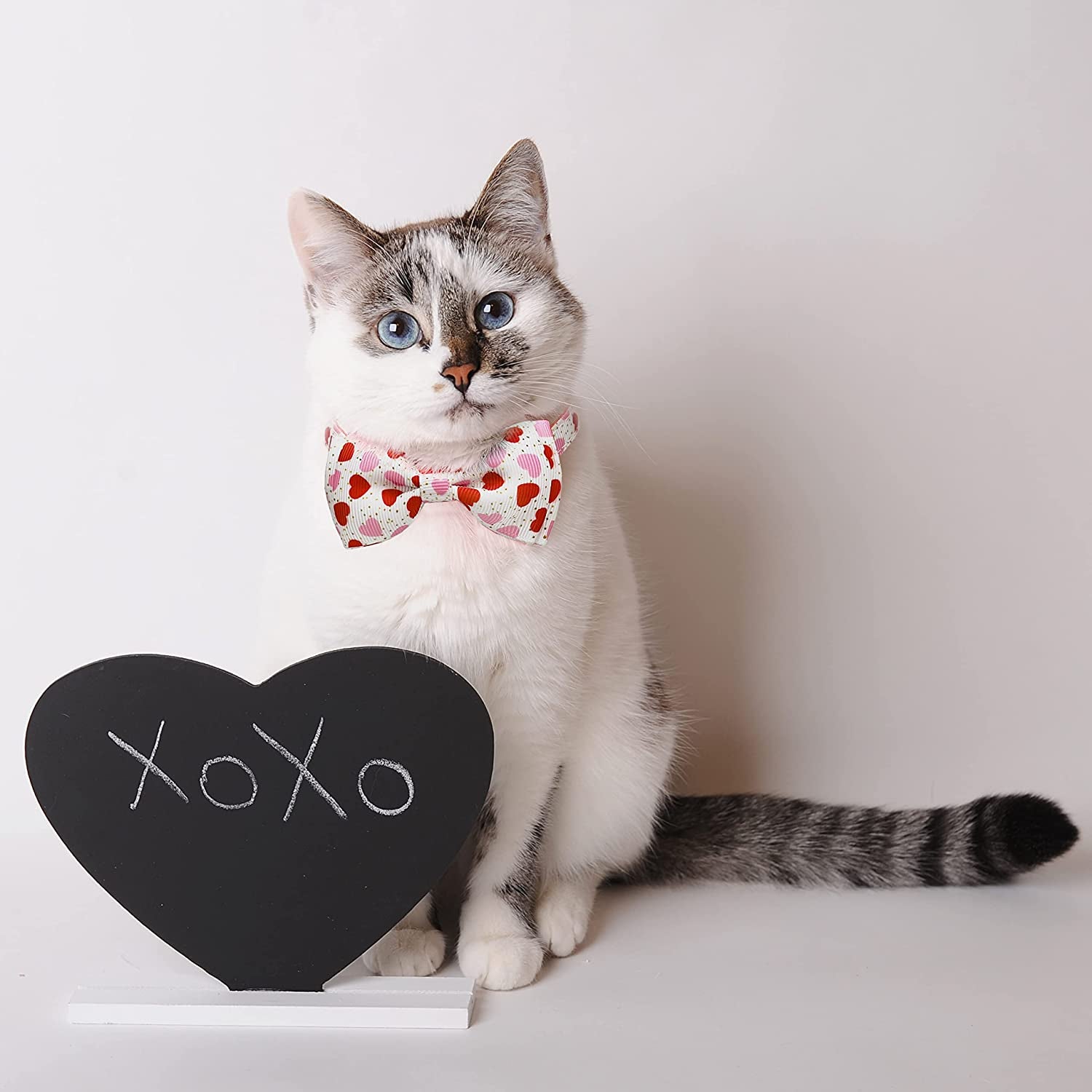 Valentine's Day 2-Pack Kitty Kitten Collars with Bow Ties: Heart-themed, Bells Included