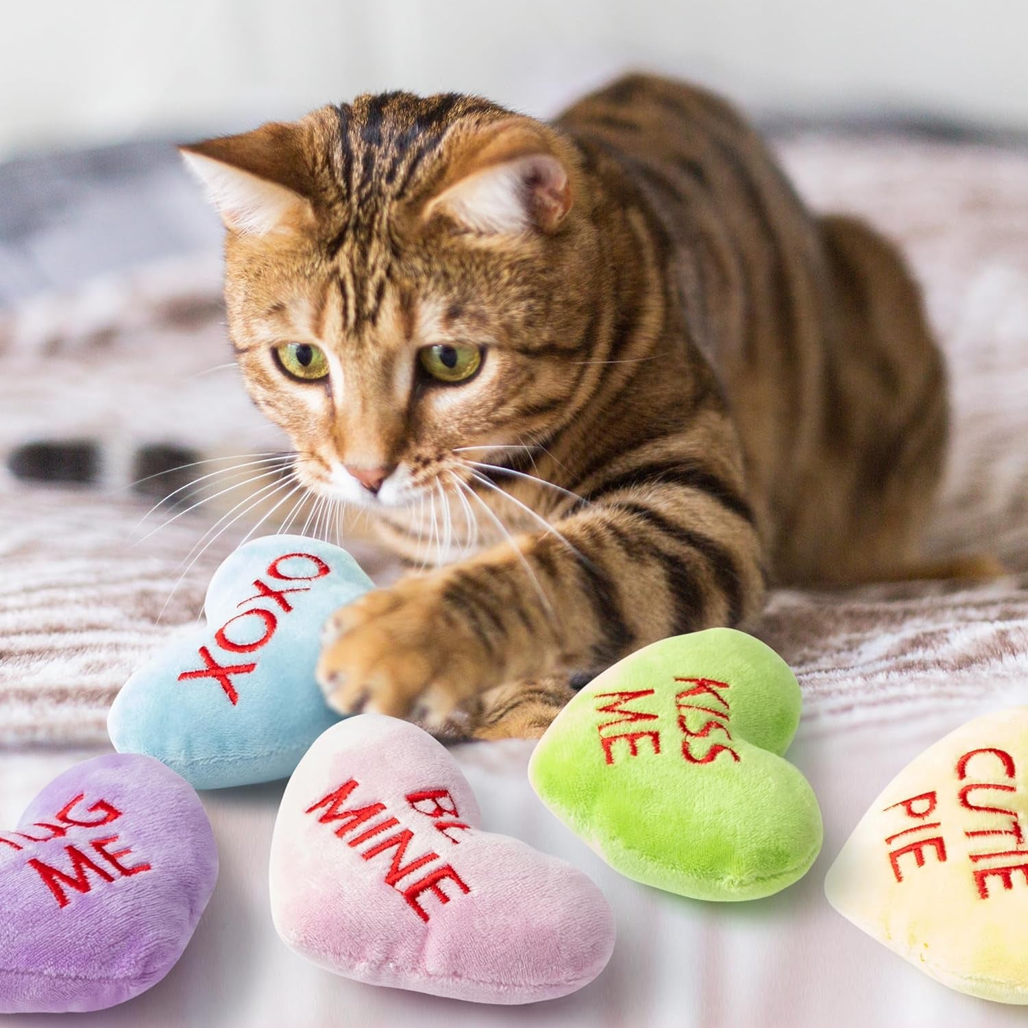 Valentine’s Day Catnip Toy Set: 5 Conversation Heart-Shaped Gifts for Your Cat, Indoor Chew, Bite, Kick Plush Candy Toys, Perfect Gift for Cat Lovers Gifts, Cute Interactive Cat Toy with for Pet Presents