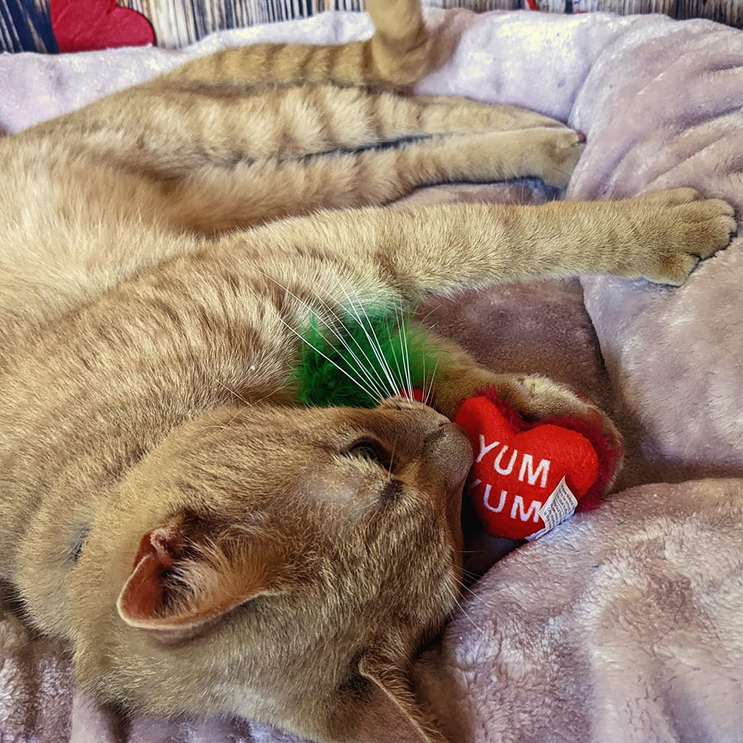 Valentine's Day 2-Pack Cat Toys: Chocolate Strawberry & Convo Heart, Catnip Filled, Soft Plush Kitty Toy with Catnip and Crinkle