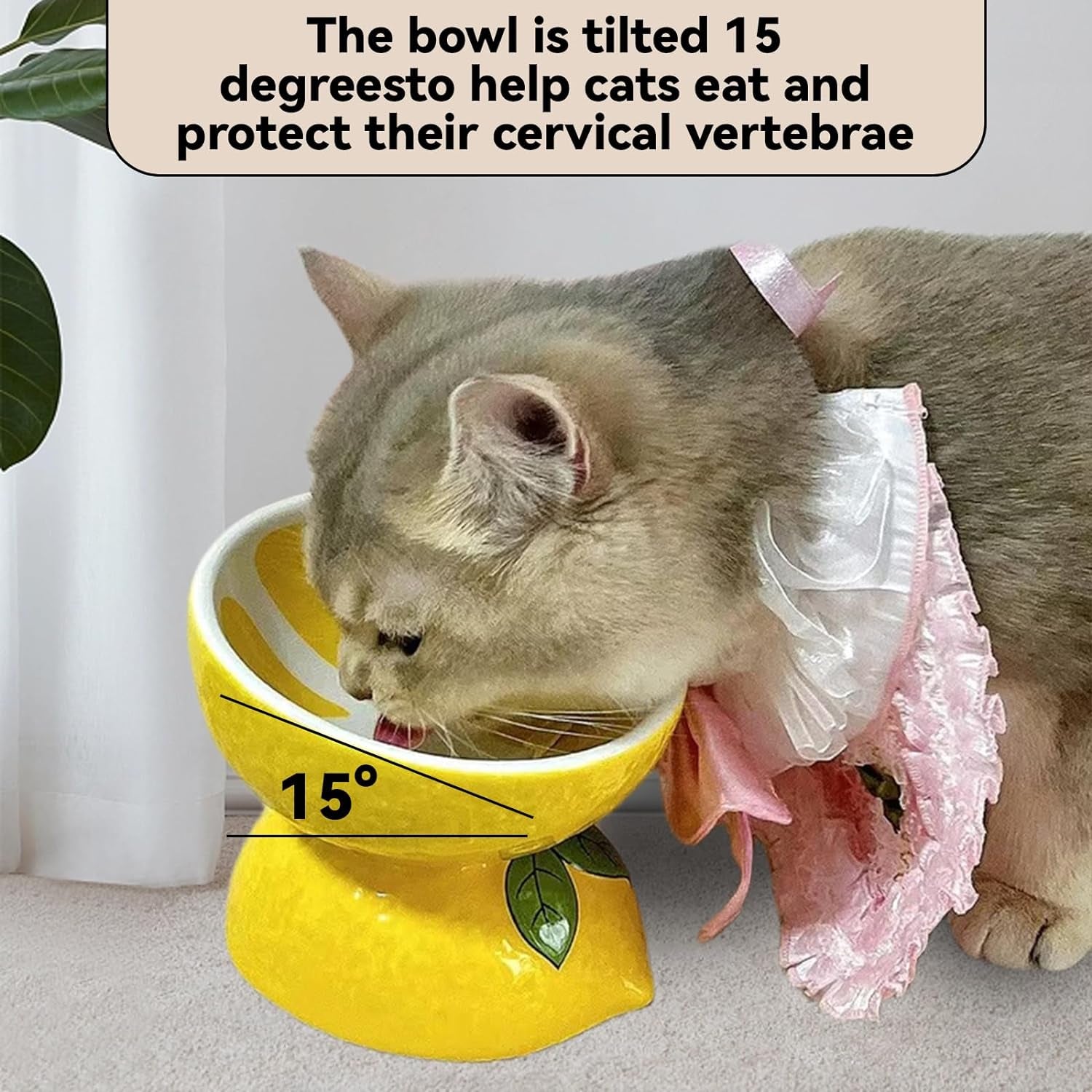 Elevated Ceramic Cat Bowls - Anti-Fatigue, Tilted Design for Stress-Free Feeding, Set of 2 Watermelon & Lemon Bowls, Ideal for Indoor Cats